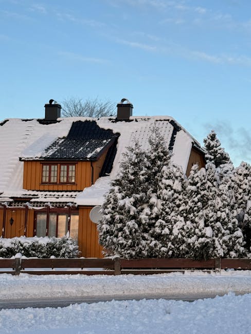 US Politics in Turmoil: ICE Shootings, Protests, and Presidential Ambitions